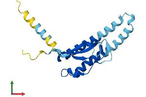 Protein Structure (PS) image for Cysteine-Rich Hydrophobic Domain 2 (CHIC2) (AA 1-165) protein (His tag) (ABIN7553320)