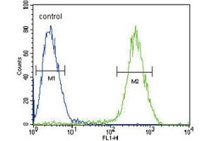 Flow Cytometry (FACS) image for anti-Cannabinoid Receptor 2 (CNR2) antibody (ABIN2995770) (CNR2 Antikörper)