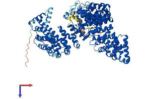 Transportin 1 Protein (TNPO1) (AA 1-898) (His tag)