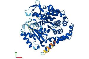 Protein Structure (PS) image for Tubulin, beta 2A (TUBB2A) (AA 1-445) protein (His tag) (ABIN7544187)