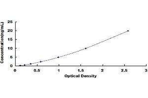 ADH6 ELISA Kit