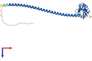 OLR1 Protein (AA 1-273) (His tag)