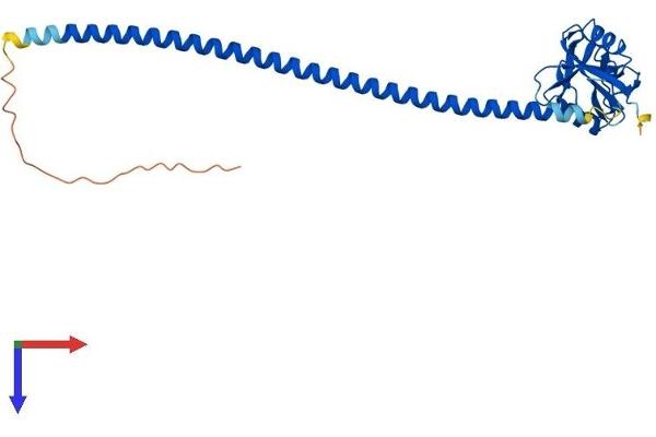 OLR1 Protein (AA 1-273) (His tag)