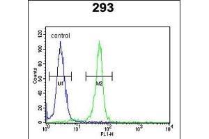RRS1 Antibody (C-term) (ABIN650939 and ABIN2840003) flow cytometric analysis of 293 cells (right histogram) compared to a negative control cell (left histogram).