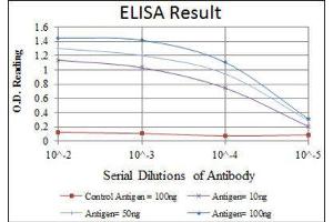 ELISA image for anti-Teratocarcinoma-Derived Growth Factor 1 (TDGF1) antibody (ABIN1846225)