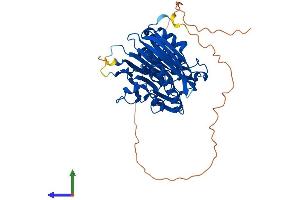 Protein Structure (PS) image for CCR4 Carbon Catabolite Repression 4-Like (CCRN4L) (AA 1-429) protein (His tag) (ABIN7562368)