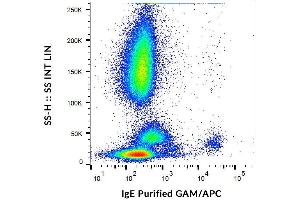 Surface staining of IgE on human peripheral blood cells with anti-IgE (4H10) purified, GAM-APC. (Maus anti-Human IgE Antikörper)