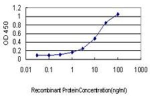 Detection limit for recombinant GST tagged BGLAP is approximately 0.