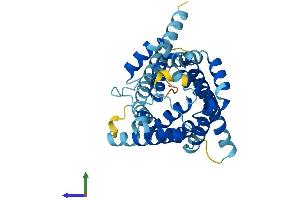 AlphaFold protein structure predicition of Human Recombinant SLC25A19 Protein, UniprotID Q9HC21 (SLC25A19 Protein (AA 1-320) (His tag))