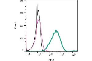 Cell surface detection of Tetraspanin 18 by indirect flow cytometry in live intact mouse P815 mastocytoma cell line: + goat-anti-rabbit-PE. (Tetraspanin 18 Antikörper  (Extracellular))