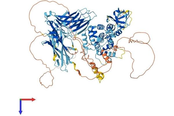 SH3BP4 Protein (AA 1-962) (His tag)