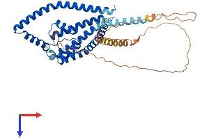 KCNK3 Protein (AA 1-409) (His tag)