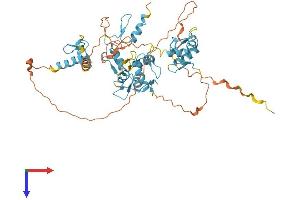 FIZ1 Protein (AA 1-496) (His tag)