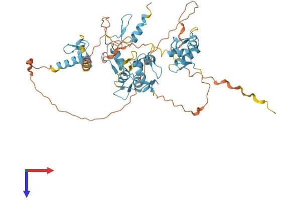 FIZ1 Protein (AA 1-496) (His tag)