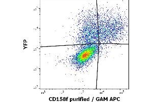Flow Cytometry (FACS) image for anti-Killer Cell Immunoglobulin-Like Receptor, Two Domains, Long Cytoplasmic Tail, 5A (KIR2DL5A) antibody (ABIN2749214)
