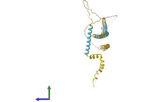 AlphaFold protein structure predicition of Human Recombinant SMCO2 Protein, UniprotID A6NFE2 (SMCO2 Protein (AA 1-343) (His tag))