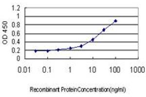Detection limit for recombinant GST tagged TEK is approximately 0. (TEK Antikörper  (AA 701-800))