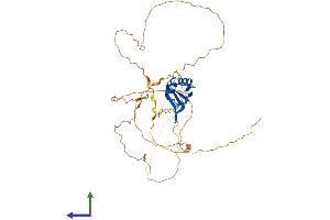 Protein Structure (PS) image for RNA Binding Motif Protein 9 (RBM9) (AA 1-390) protein (His tag) (ABIN7551376)