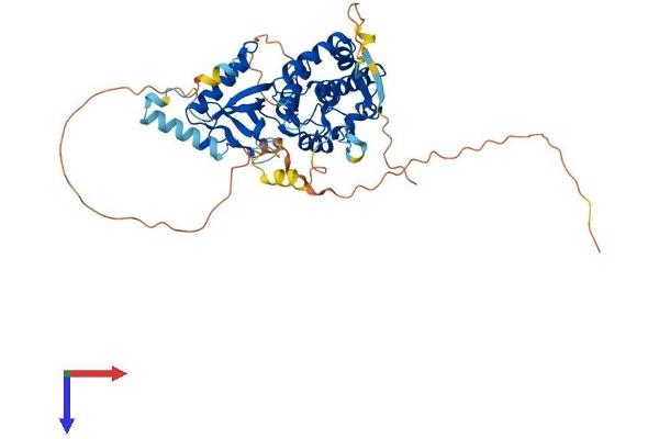 PI4K2B Protein (AA 1-481) (His tag)