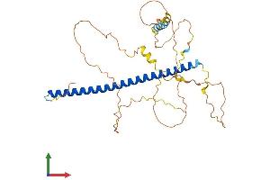 Protein Structure (PS) image for Jun B Proto-Oncogene (JUNB) (AA 1-347) protein (His tag) (ABIN7548610)