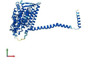 AlphaFold protein structure predicition of Mouse Recombinant Mtnd5 Protein, UniprotID P03921
