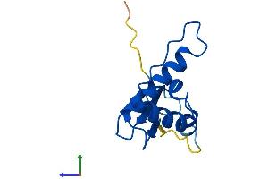 Protein Structure (PS) image for Transcription Elongation Factor B (SIII), Polypeptide 1 (15kDa, Elongin C) (TCEB1) (AA 1-112) protein (His tag) (ABIN7547420)