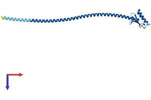 SPC25 Protein (AA 1-226) (His tag)