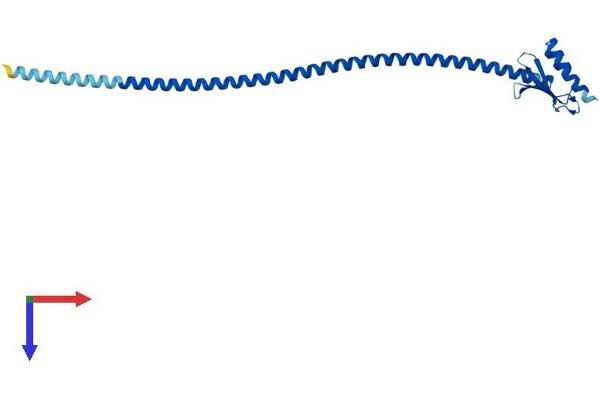 SPC25 Protein (AA 1-226) (His tag)