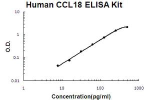 Human CCL18/PARC Accusignal ELISA Kit Human CCL18/PARC AccuSignal ELISA Kit standard curve.