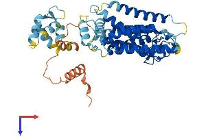 RHBDL3 Protein (AA 1-404) (His tag)
