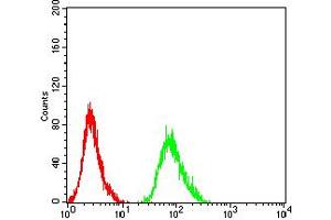 Flow Cytometry (FACS) image for anti-Adrenergic, beta-2-, Receptor, Surface (ADRB2) (AA 302-413) antibody (ABIN5911929) (beta 2 Adrenergic Receptor Antikörper  (AA 302-413))