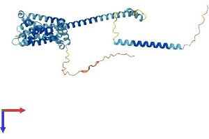 CATSPER3 Protein (AA 1-398) (His tag)