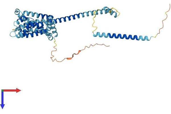 CATSPER3 Protein (AA 1-398) (His tag)