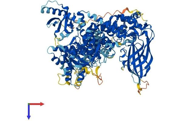 PIK3CD Protein (AA 1-1044) (His tag)
