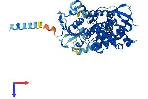 CYP20A1 Protein (AA 1-462) (His tag)