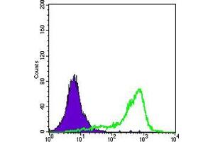 Flow cytometric analysis of A431 cells using SOD1 mouse mAb (green) and negative control (purple). (SOD1 Antikörper)