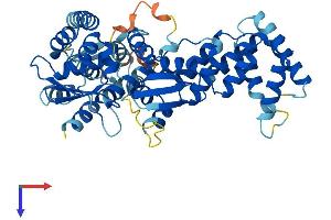 ABTB1 Protein (AA 1-478) (His tag)