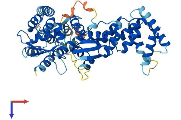 ABTB1 Protein (AA 1-478) (His tag)