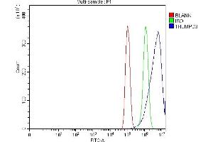 Flow Cytometry analysis of PC-3 cells using anti-THUMPD3 antibody (ABIN7599445). (THUMPD3 Antikörper  (AA 1-496))