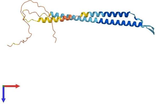 Neurensin 1 Protein (NRSN1) (AA 1-196) (His tag)