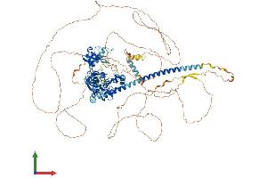 Protein Structure (PS) image for Mitogen-Activated Protein Kinase Kinase Kinase MLK4 (KIAA1804) (AA 1-1036) protein (His tag) (ABIN7554513)