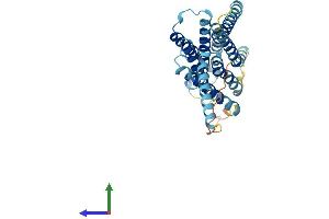 AlphaFold protein structure predicition of Mouse Recombinant Gpbar1 Protein, UniprotID Q80SS6