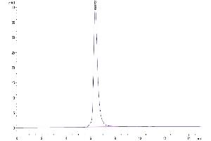 The purity of Human MMP-9 is greater than 95 % as determined by SEC-HPLC. (MMP 9 Protein (His-Avi Tag))
