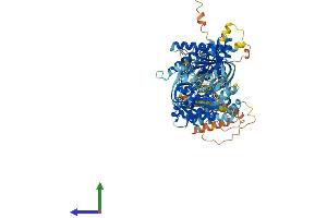 Protein Structure (PS) image for Adenylate Cyclase 2 (Brain) (ADCY2) (AA 1-1090) protein (His tag) (ABIN7564236)