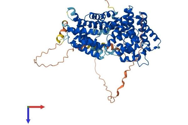 TTC39B Protein (AA 1-682) (His tag)