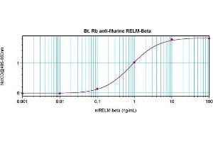 Direct ELISA using RELM beta antibody (RETNLB Antikörper  (Biotin))