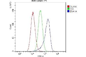 Flow Cytometry analysis of A549 cells using anti-EVA1A antibody (ABIN6719564). (TMEM166 Antikörper)