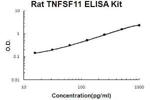 Rat TNFSF11/RANKL PicoKine ELISA Kit standard curve (RANKL ELISA Kit)