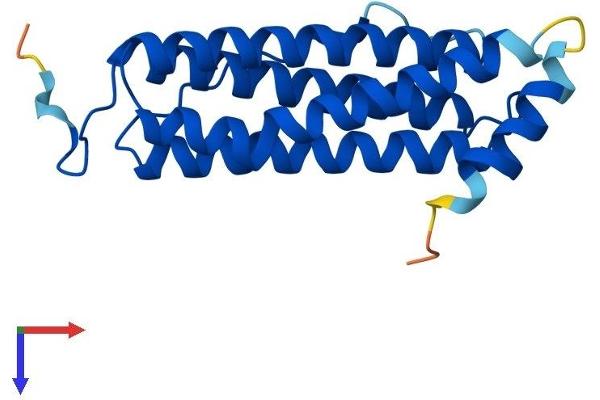FTHL17 Protein (AA 1-183) (His tag)