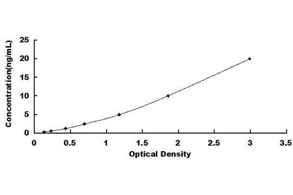 ICAM1 ELISA Kit